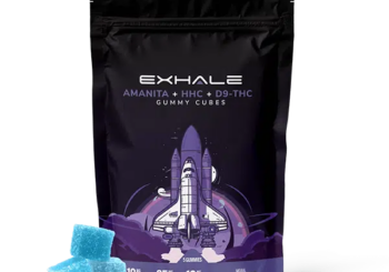 Ultimate Guide to Delta 9 Gummies Comprehensive Review By Exhale Well