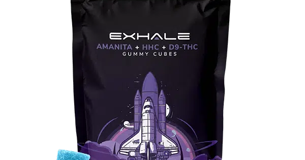 Ultimate Guide to Delta 9 Gummies Comprehensive Review By Exhale Well